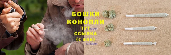 индика Белокуриха
