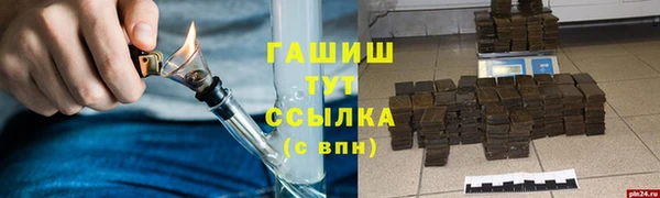индика Белокуриха