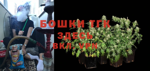 индика Белокуриха