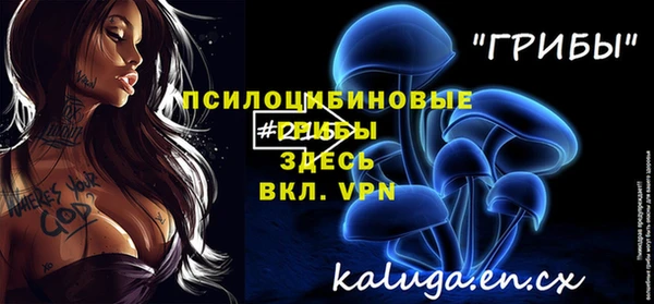 индика Белокуриха