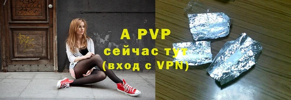 индика Белокуриха
