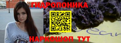 прущие крисы Гай