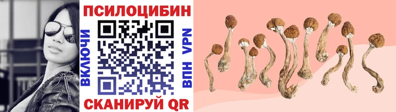 гидра зеркало  даркнет сайт  Гудермес  Псилоцибиновые грибы Cubensis 