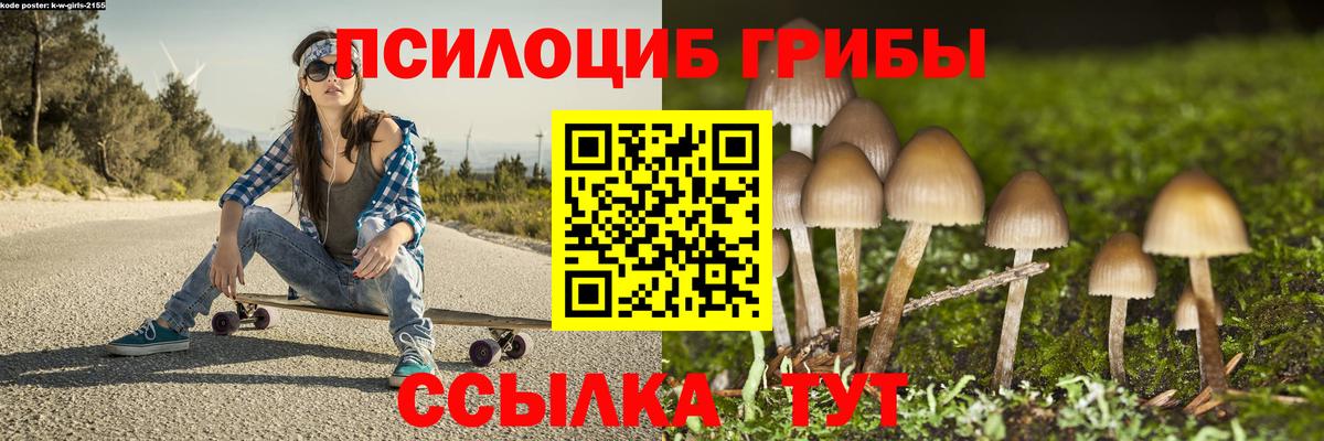 Псилоцибиновые грибы MAGIC MUSHROOMS Гудермес